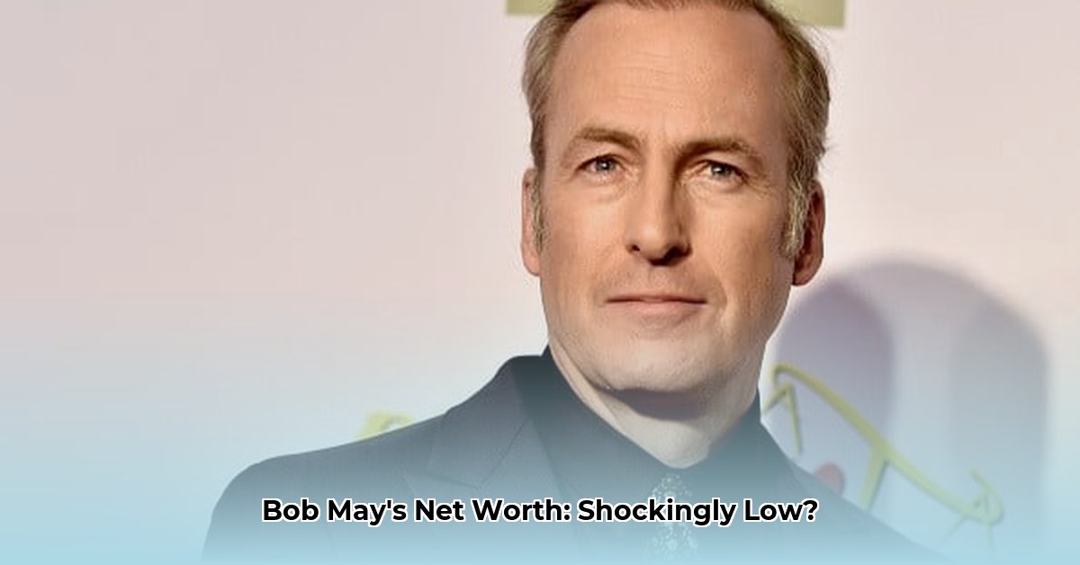 bob-may-net-worth